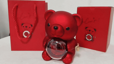 Forever Rose Teddy Gift Box with Necklace